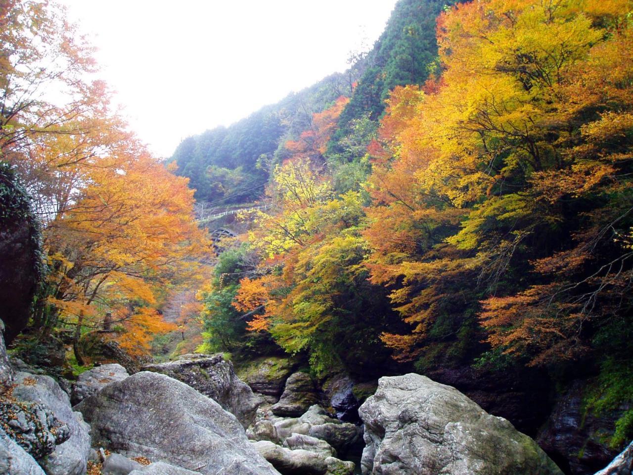 Nature Resort In Niyodo Niyodogawa Eksteriør bilde