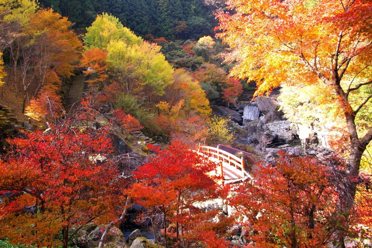 Nature Resort In Niyodo Niyodogawa Eksteriør bilde