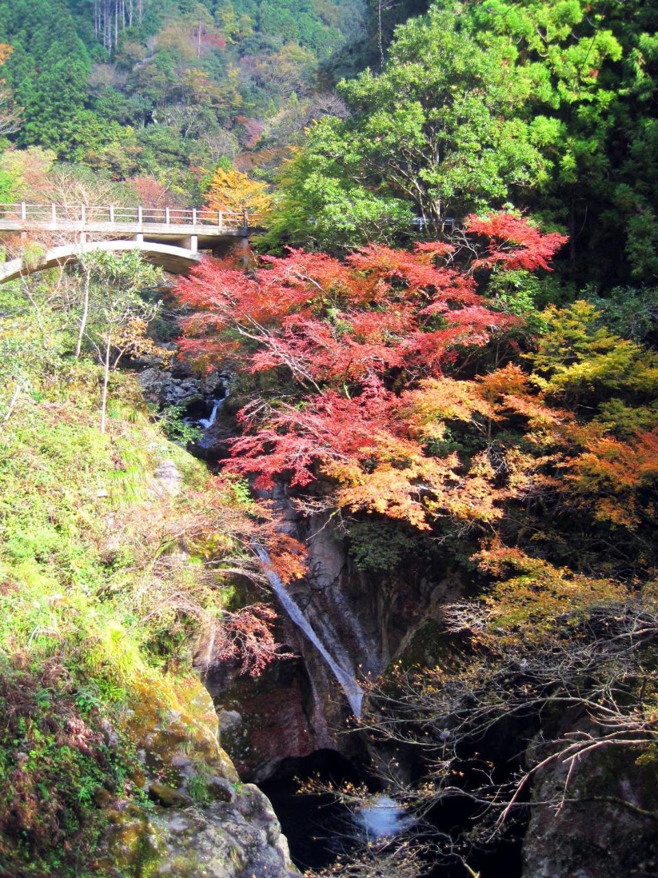 Nature Resort In Niyodo Niyodogawa Eksteriør bilde